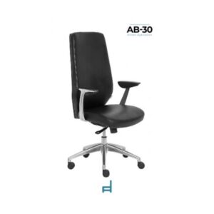 SILLON DIRECTIVO RSADAB30