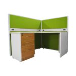 MESA ESPECIAL REEMMMT09